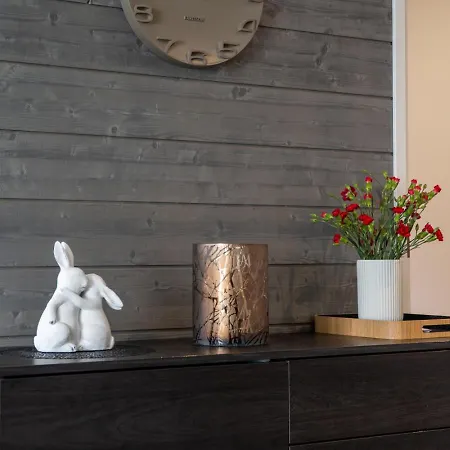 Apartman Polar Charm H By In Lapland Ylläs