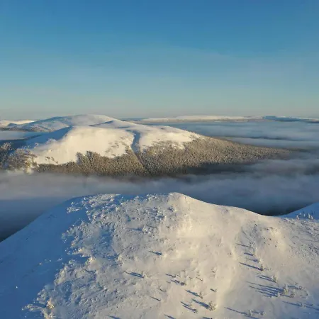 Polar Charm H By In Lapland Daire *